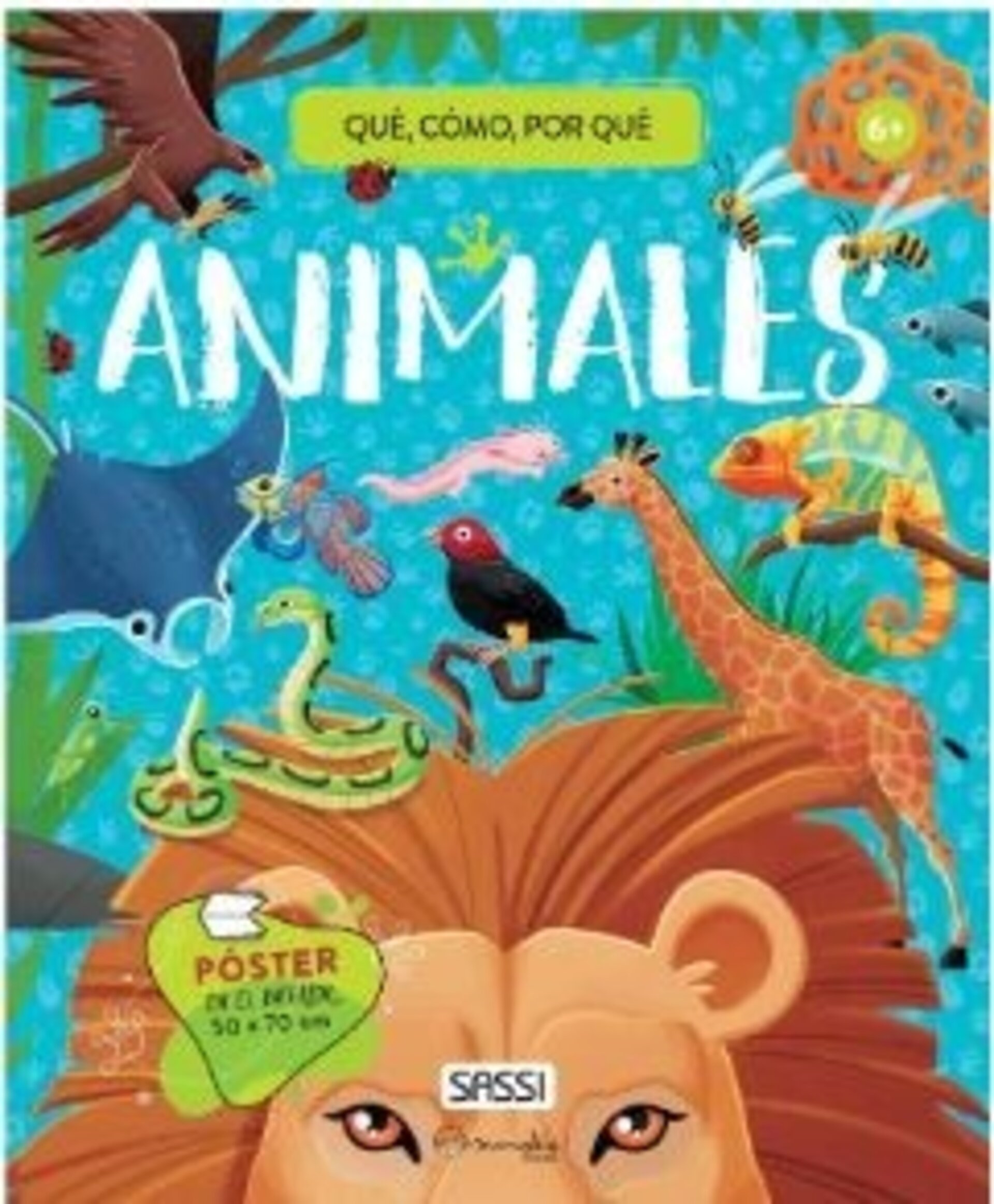 SERIE QUÉ, CÓMO, POR QUÉ - 6