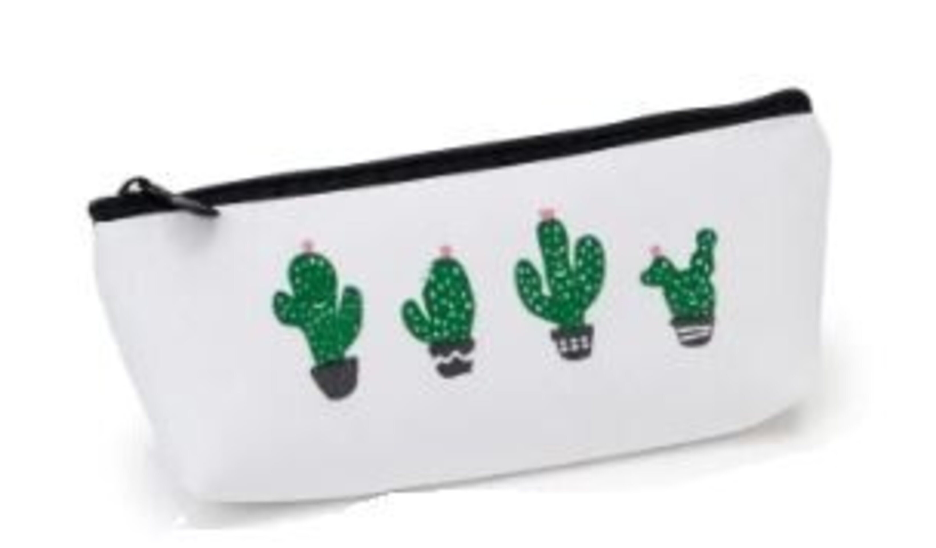PORTATODO CACTUS - 3