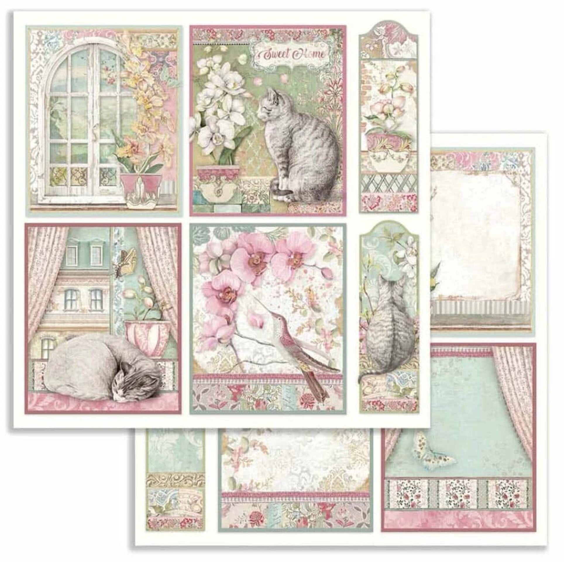 PAPEL SCRAP COLECCIÓN  ORQUIDEAS Y GATOS (Doble cara) - 6