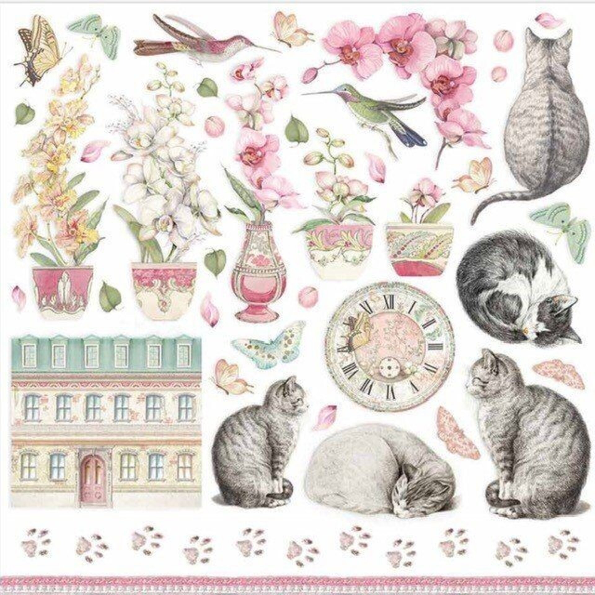 PAPEL SCRAP COLECCIÓN  ORQUIDEAS Y GATOS (Doble cara) - 11