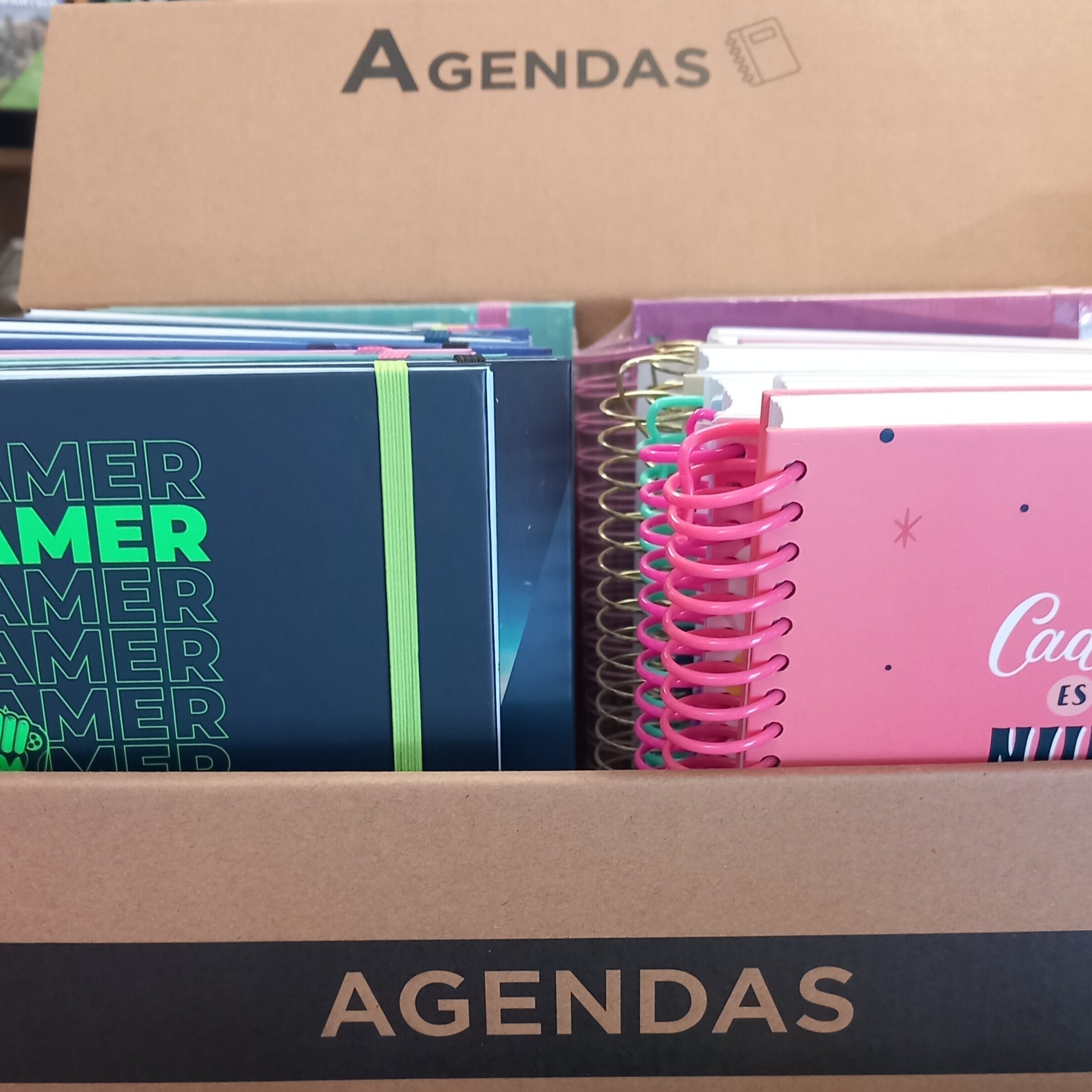 AGENDAS ----DIETARIOS----