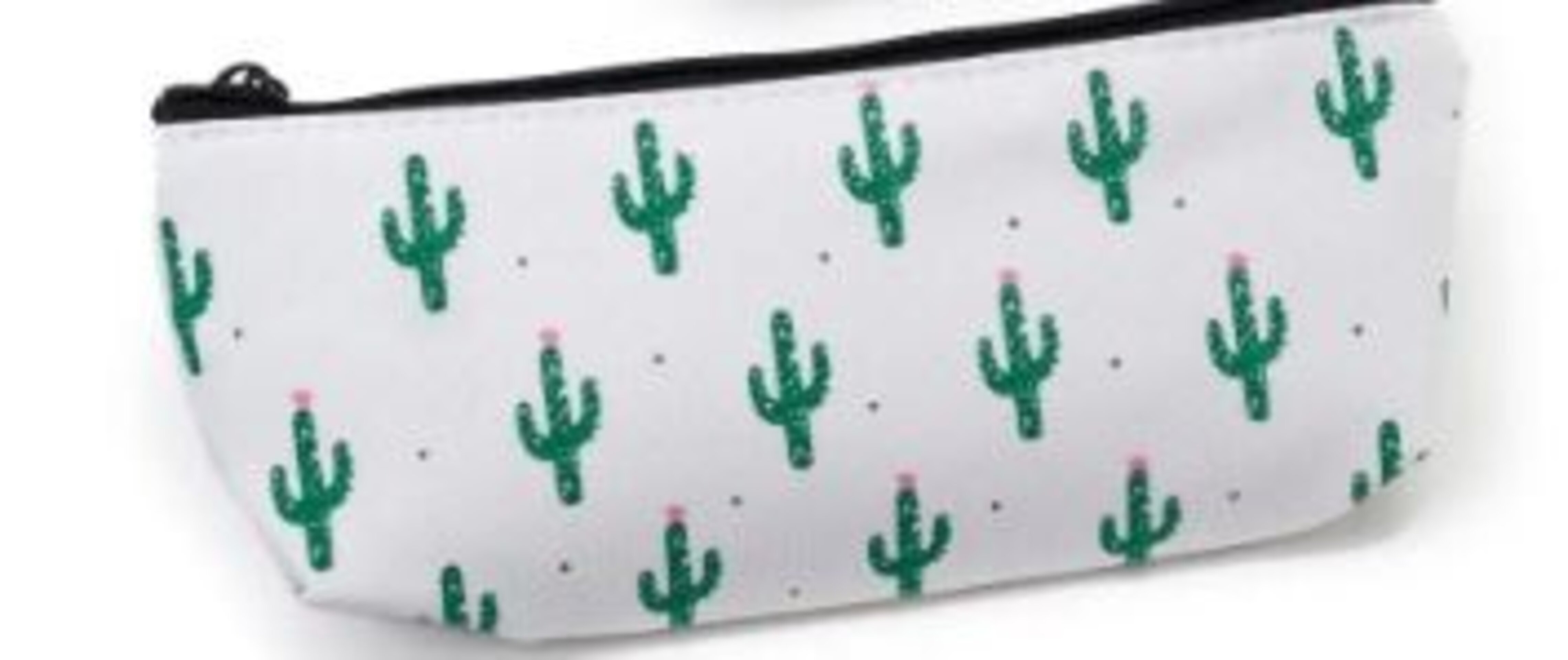 PORTATODO CACTUS - 4